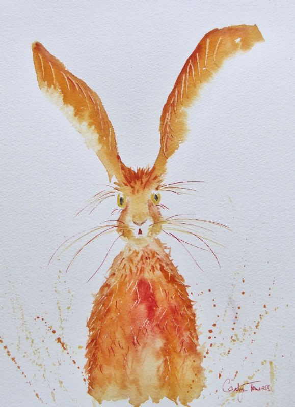 Ginger Hare
